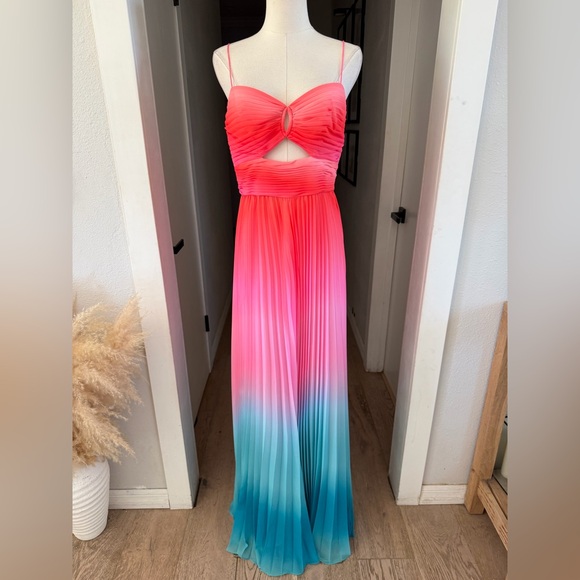 NWT | AMUR | Emmett Pleated Cut Out Maxi Dress in Ombré Sunset | Sz 6 - Picture 8 of 13